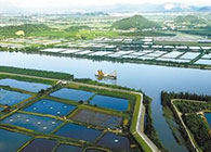 汪博士受邀至普洱市水产钻研所进行学术互换