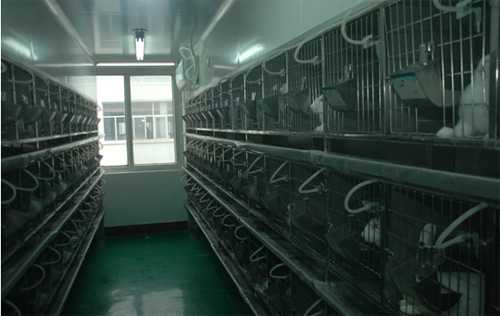 JDB电子尝试动物房