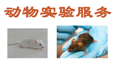 JDB电子动物尝试表包服务