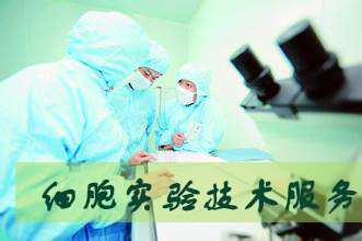 JDB电子细胞尝试服务表包