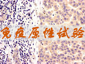 JDB电子免疫原性试验服务