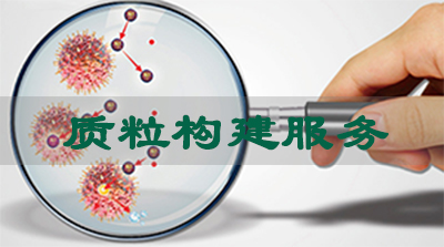 JDB电子质粒构建服务