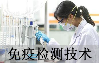 JDB电子免疫学检测技术分析服务