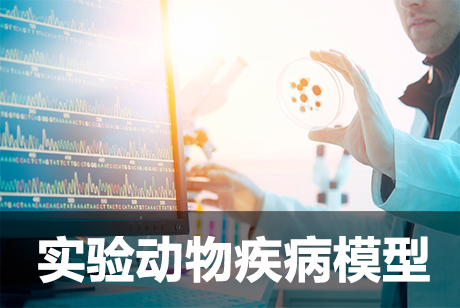 尝试动物模型