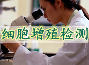 细胞增殖检测四种常用步骤：EdU、CCK-8、MTT与BrdU