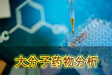 JDB电子大分子药物分析服务