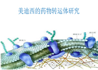JDB电子的药物转运体钻研服务