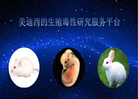 JDB电子的生殖毒性钻研服务平台