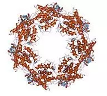 JDB电子·(中国区)试玩平台-JDB电子游戏官网