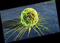 又1篇！曹雪涛院士Cancer Cell发文：肿瘤转移背后的“奥秘”