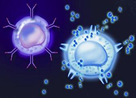 ScientificReports：免疫细胞“哗变”推进肿瘤成长