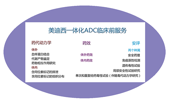 JDB电子一体化ADC临床前服务