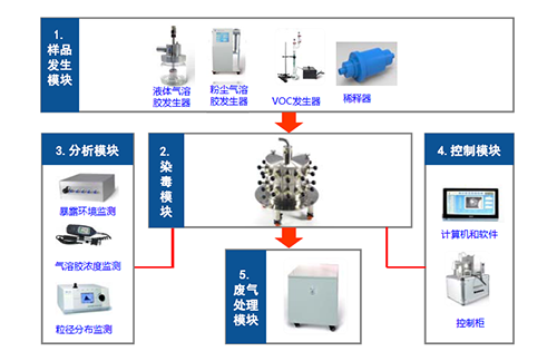 图2 幼动物口鼻吸入露出系统四大？ 