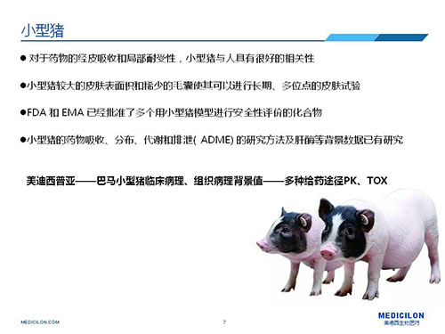 皮肤涂抹试验中，受试动物选择幼型猪更好