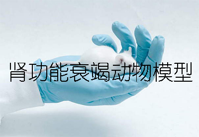 慢性肾职能衰竭(CRF)动物模型：物理/化学/生物三大造模步骤详解