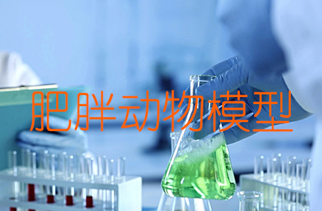 肥胖动物模型