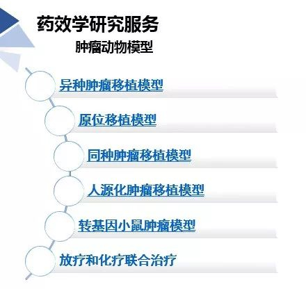 JDB电子药效学动物模型