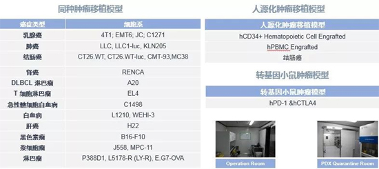 JDB电子药效学动物模型