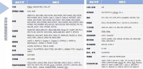 JDB电子药效学动物模型