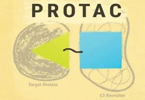 热点前沿:PROTAC初露锋芒，SD-36匹敌肿瘤成效卓越