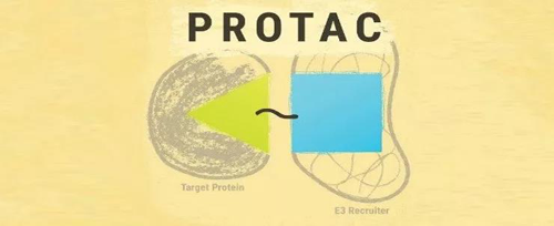PROTAC药物组成的单一示意图