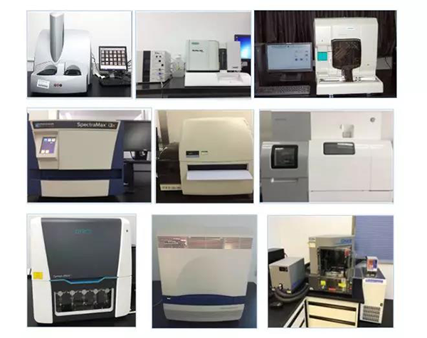 JDB电子生物技术药物分析部门占有SpectraMaxM4/M5/i3x, MSD, Luminex, Biacore 8K, Envision, Gyrolab，ABI7500 qPCR等全方位多职能的技术平台，利用LIMS系统执行全面的尝试室信息化治理，提供全面切合FDA/CFDA/OECD GLP规范要求的生物技术药物分析服务。