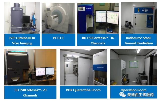 JDB电子药理部占有IVIS Lumina III, PET-CT, BD LSRFortessa-16, Flow Cytometry等仪器，提供切合申报，支持临床试验的药效评价服务。