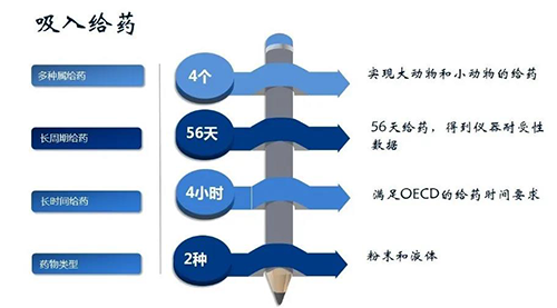 JDB电子吸入给药安全性评价服务