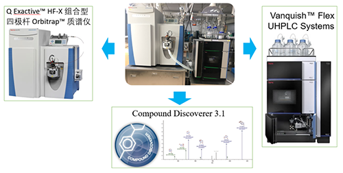 JDB电子UHPLC-UV-QE HF-X系统