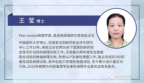JDB电子病理钻研部高级主任王莹博士