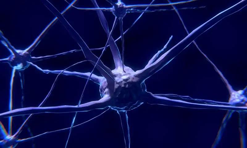 钻研初次批注，与春秋有关的认知失落可能重要是由一种可逆的生理性“阻滞”而不是永远性的降解引起的。