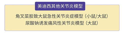 JDB电子的其他关节炎模型