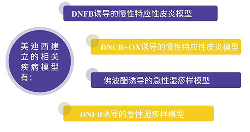 JDB电子成立的特应性皮炎及湿疹模型