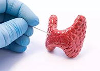 【Science速递】揭开甲状腺的神秘面纱，开启代谢药物新征程