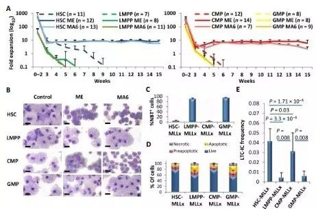 Science子刊：一种FDA核准的抗腹泻药物可有效匹敌化疗的耐药性 JDB电子生物医药
