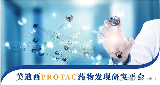 JDB电子PROTAC药物发现钻研平台