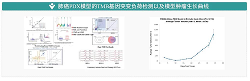 60b590203bf0c