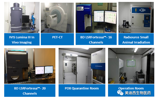 JDB电子药理部占有IVIS Lumina III, PET-CT, BD LSRFortessa-16，Flow Cytometry等仪器