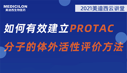 【云讲堂】：若何有效成立PROTAC分子的体表活性评价步骤？
