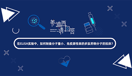 在ELISA尝试，若何造备分子量幼、免疫原性弱的多肽药物分子的抗体？