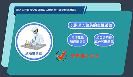 吸入安评是否全程选取吸入给药的方式实现试验呢？