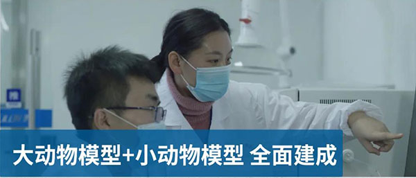 大动物模型和幼动物模型全面建成.jpg