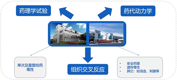 JDB电子药代以及安评钻研服务.png