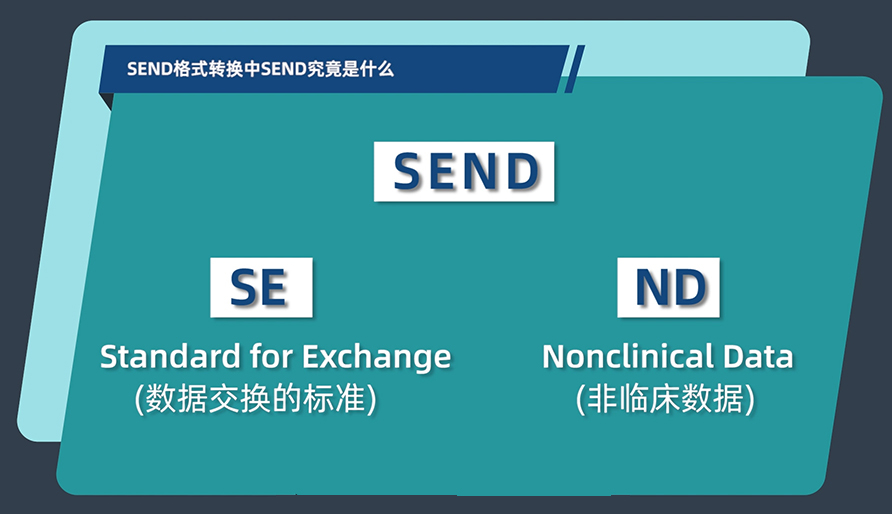 SEND体式转换中的SEND到底是什么？