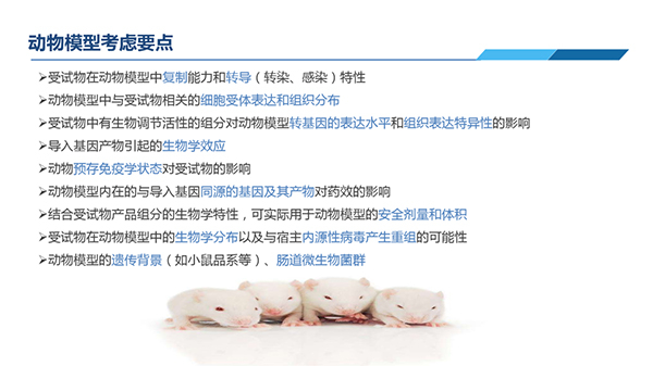 动物模型思考重点.jpg