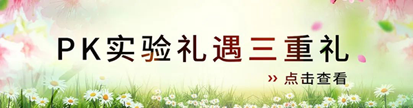PK尝试礼遇三沉礼.png