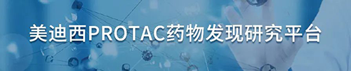 JDB电子PROTAC药物发现钻研平台.png