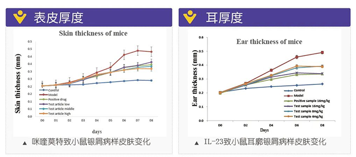 JDB电子仿照银屑病的建模模型-试验了局的指标.png