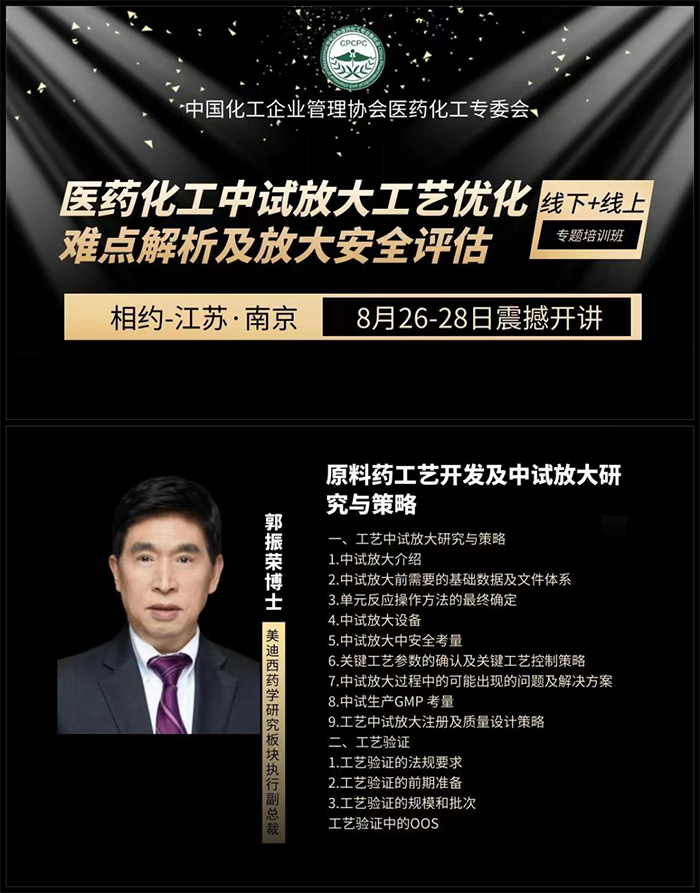 原料药工艺开发及中试放大钻研与战术.png