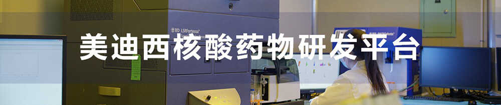 JDB电子核酸药物研发平台-1.jpg